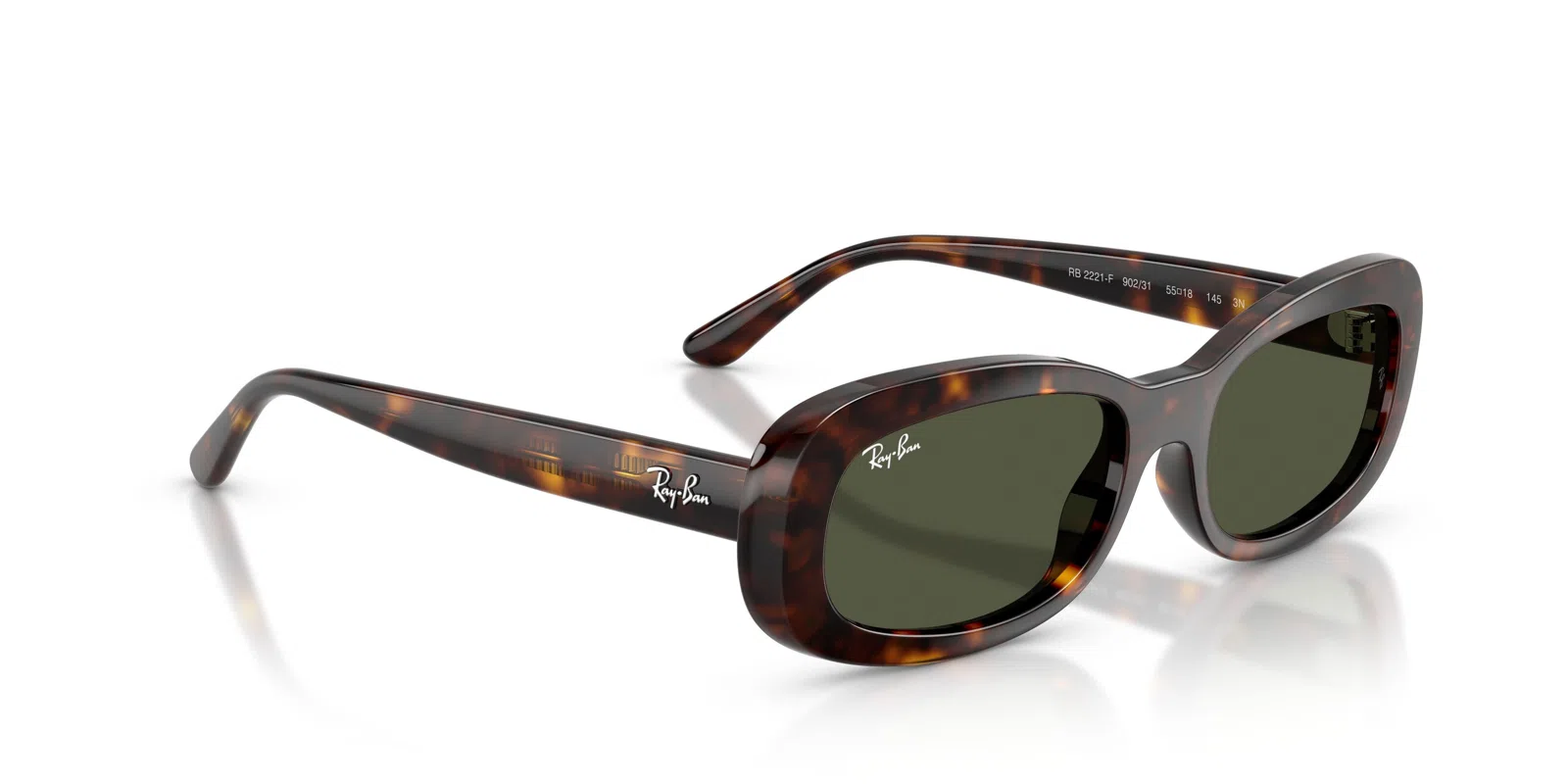 Ray-Ban 2221F Sunglasses - view 9